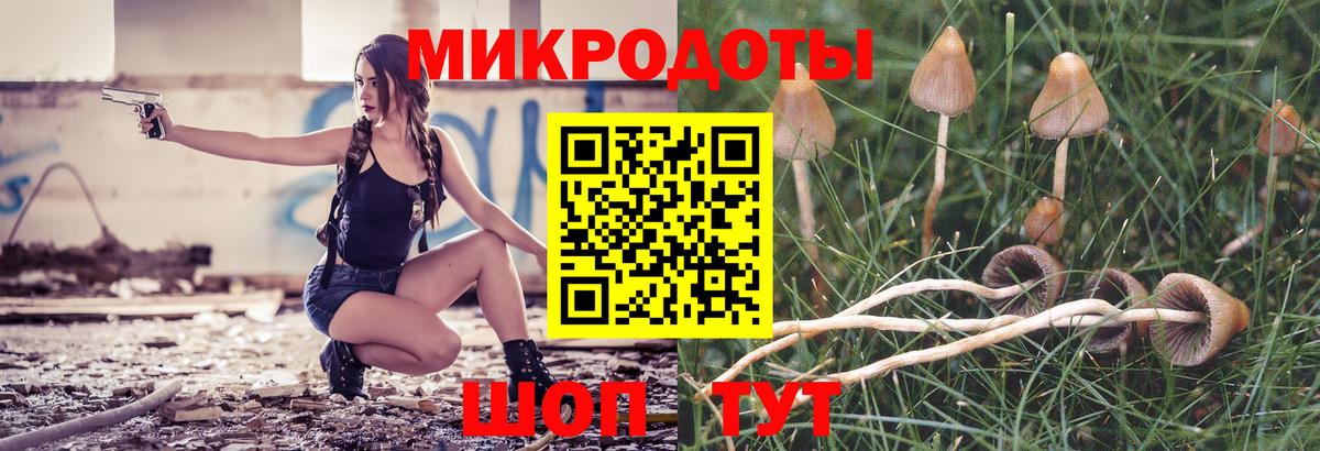 Псилоцибиновые грибы прущие грибы Новокубанск